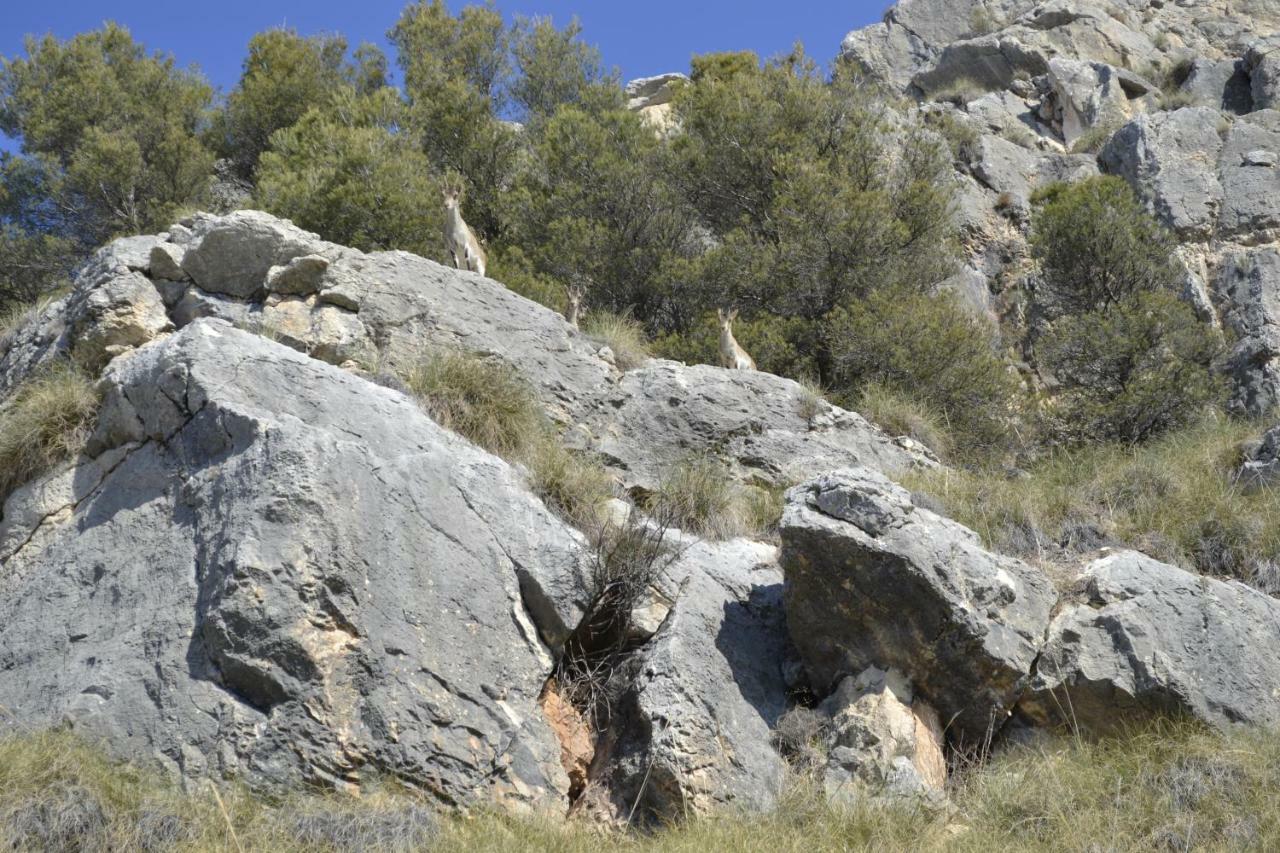 Apartamentos Rurales Parque Pegalajar Dış mekan fotoğraf